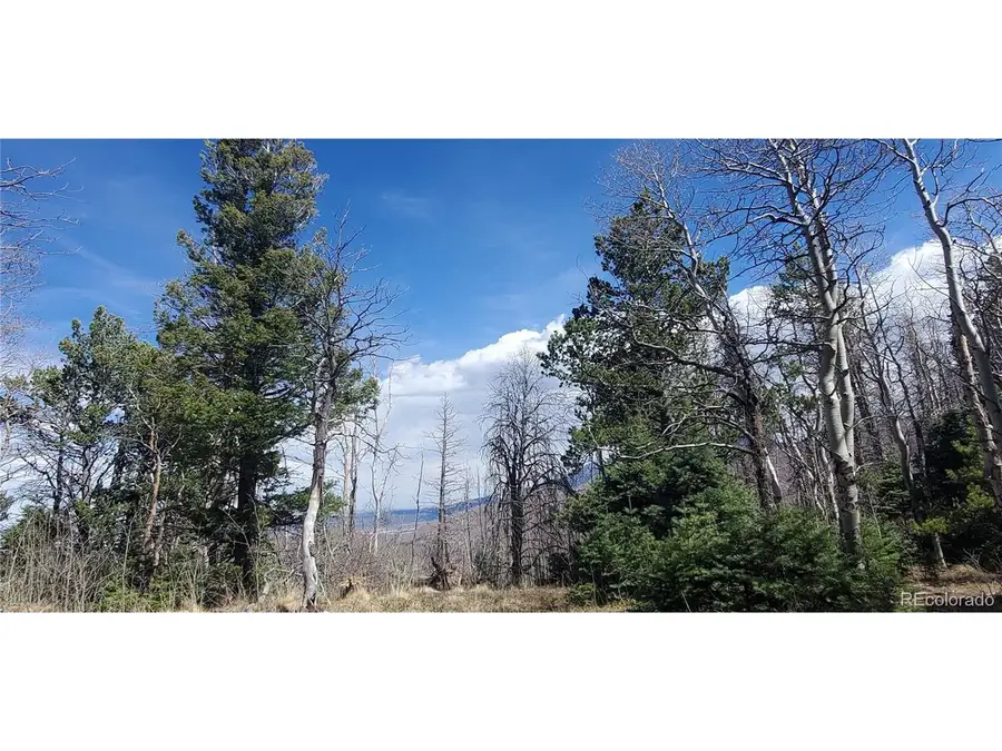 2560 Grojean Dr, Fort Garland, CO 81133 - #3