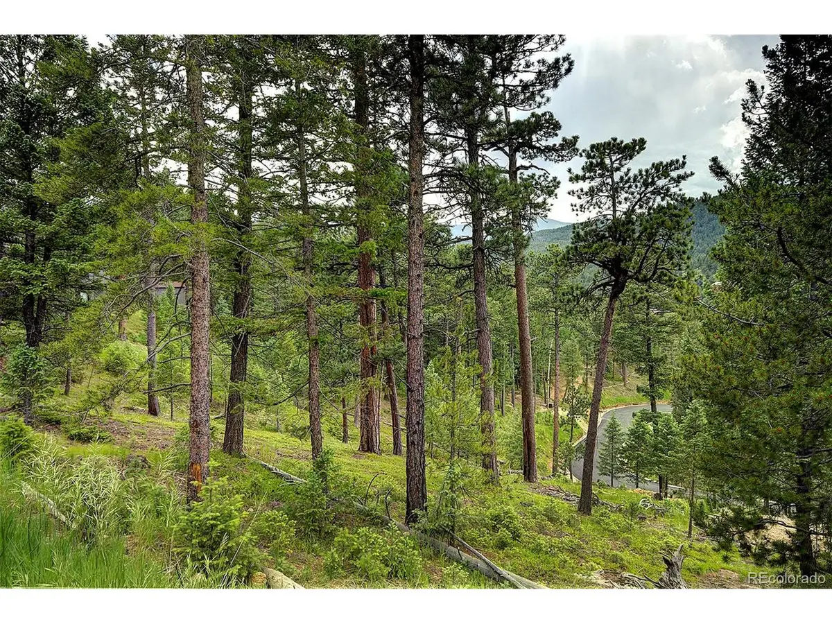 6875 Lynx Lair Rd, Evergreen, CO 80439 - Image #1