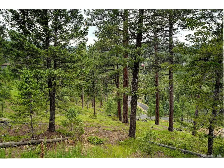 6875 Lynx Lair Rd, Evergreen, CO 80439 - Image #2
