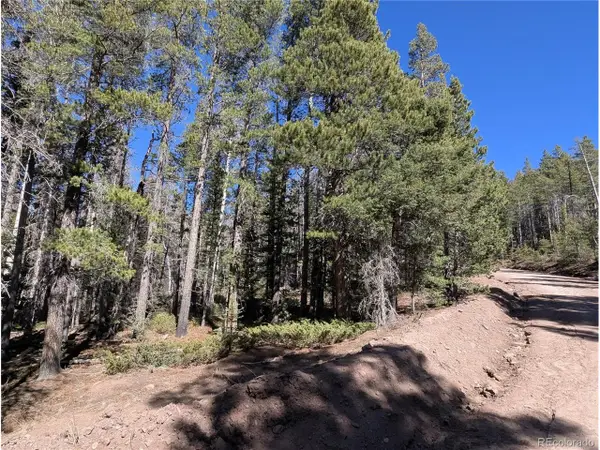 3375 Purnell Ln, Fort Garland, CO 81133