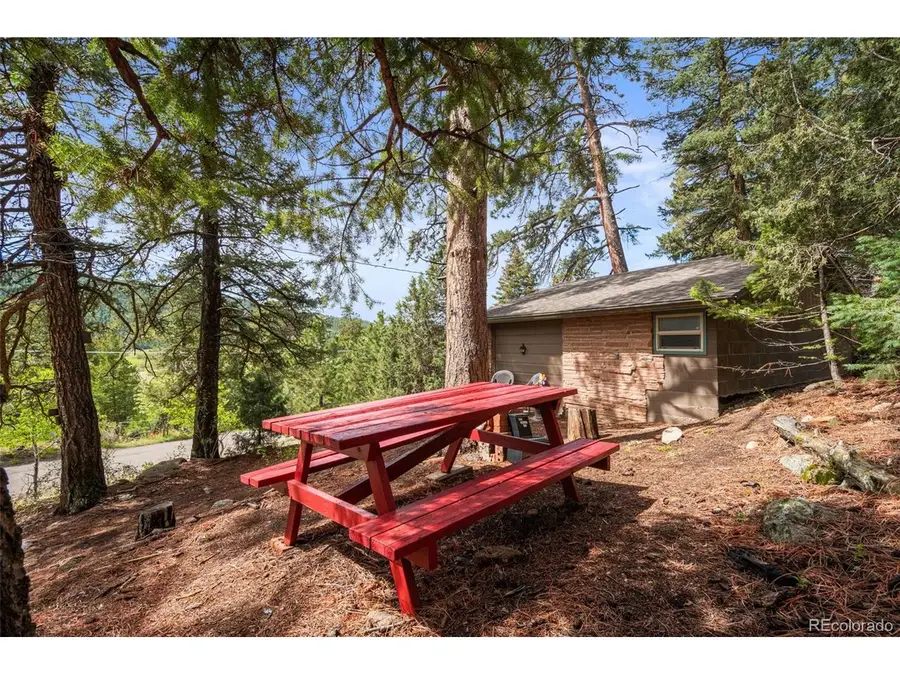 25845 Wilkerson Rd, Conifer, CO 80433 - #2