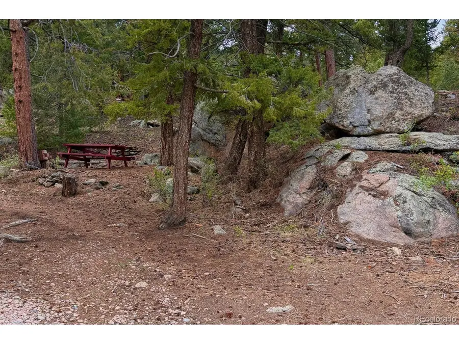 25845 Wilkerson Rd, Conifer, CO 80433 - #3