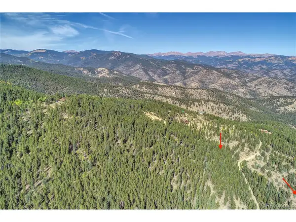 123 Warren Gulch, Idaho Springs, CO 80452