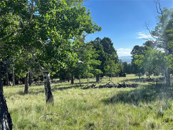 9430 Ranch Road Rd, Hartsel, CO 80449
