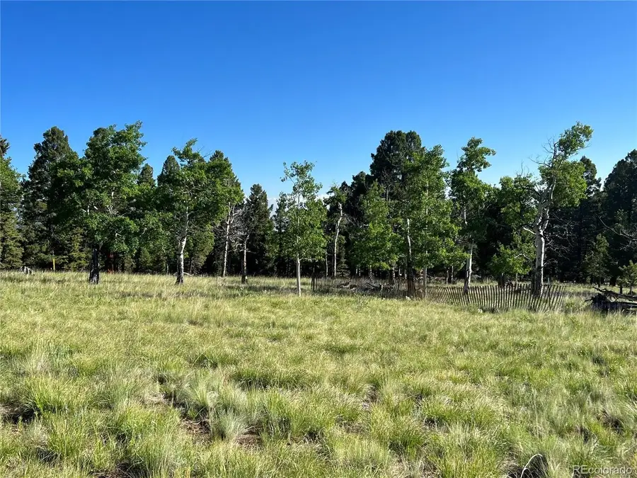 9430 Ranch Road Rd, Hartsel, CO 80449 - #3