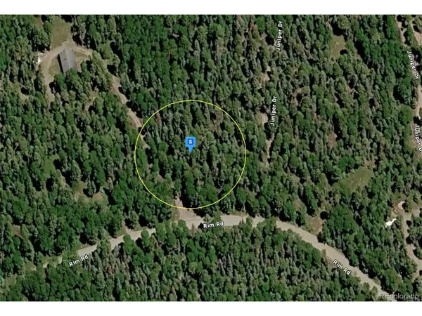 423 Rim Rd, Cimarron, CO 81220