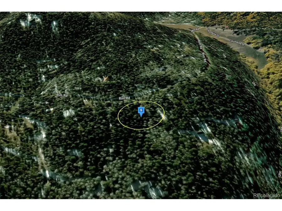 423 Rim Rd, Cimarron, CO 81220 - #2