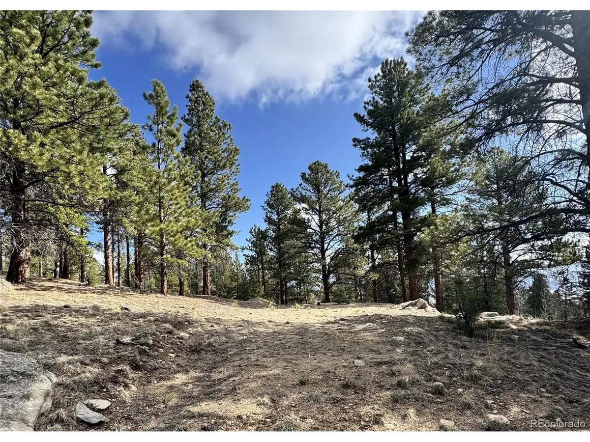 30317 Aspen Turn, Buena Vista, CO 81211 - Image #1