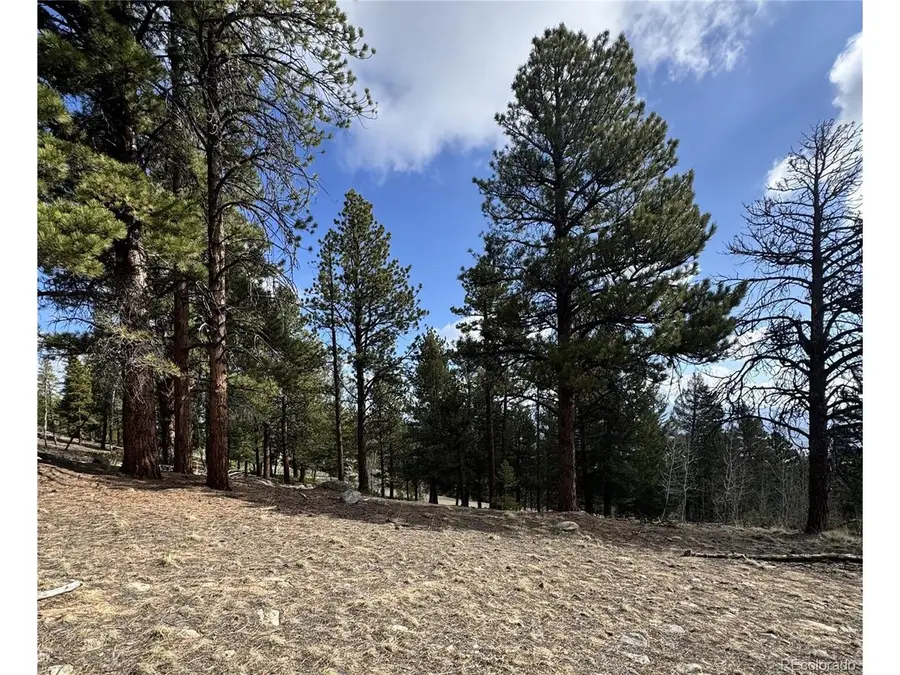 30317 Aspen Turn, Buena Vista, CO 81211 - Image #2