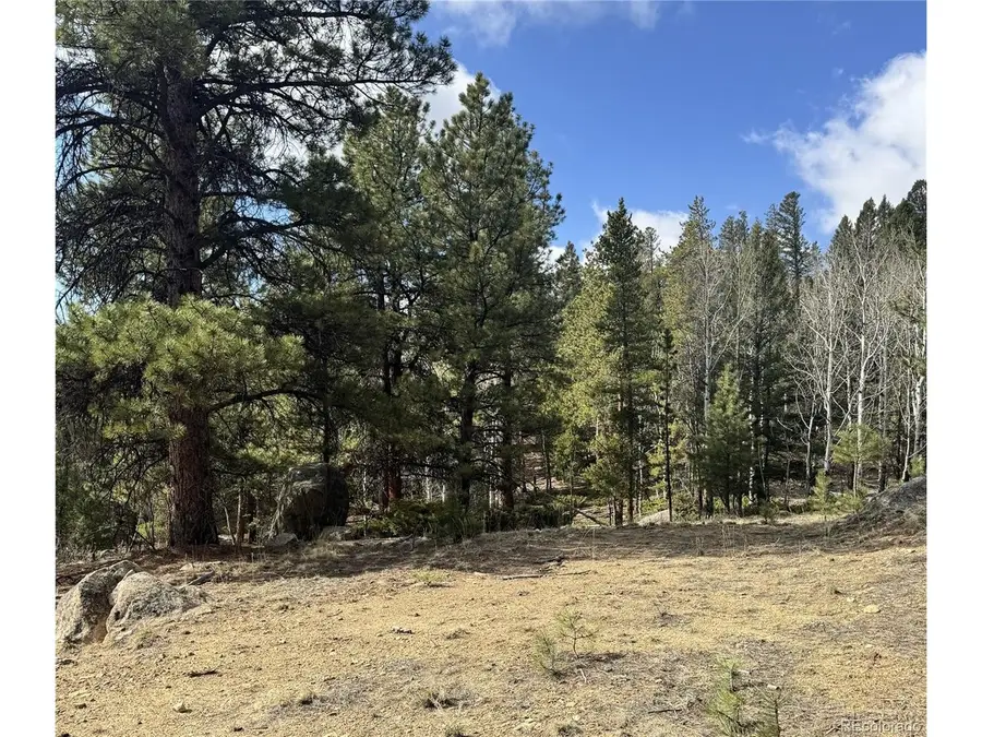 30317 Aspen Turn, Buena Vista, CO 81211 - Image #3