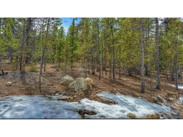 66 Mount Massive Rd, Twin Lakes, CO 81251