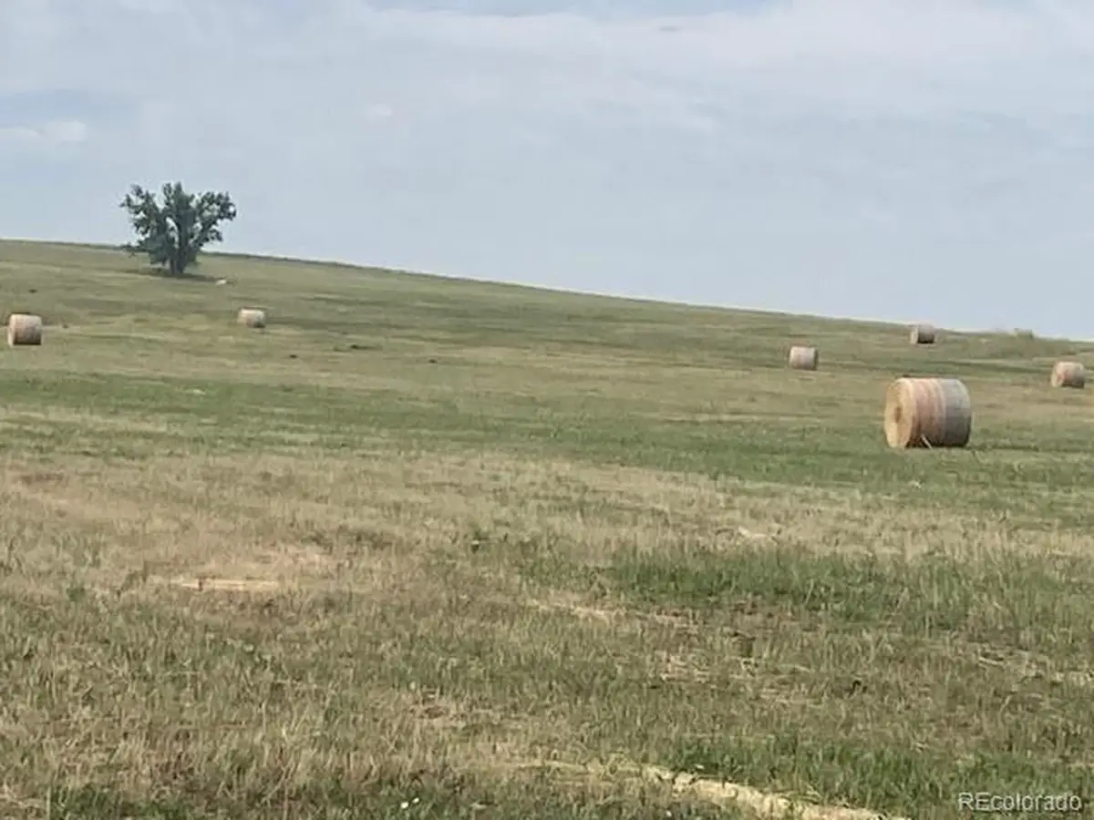 Address Withheld By Seller, Bennett, CO 80102 - #1