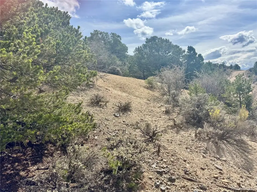 1374 Carter Rd, Fort Garland, CO 81133 - #2