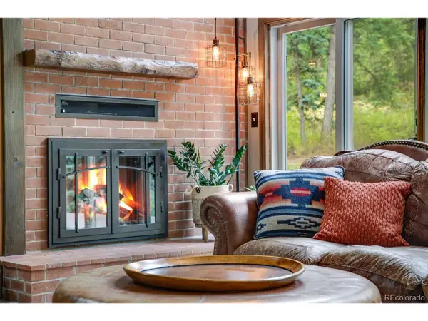 25257 Snyder Ave, Conifer, CO 80433