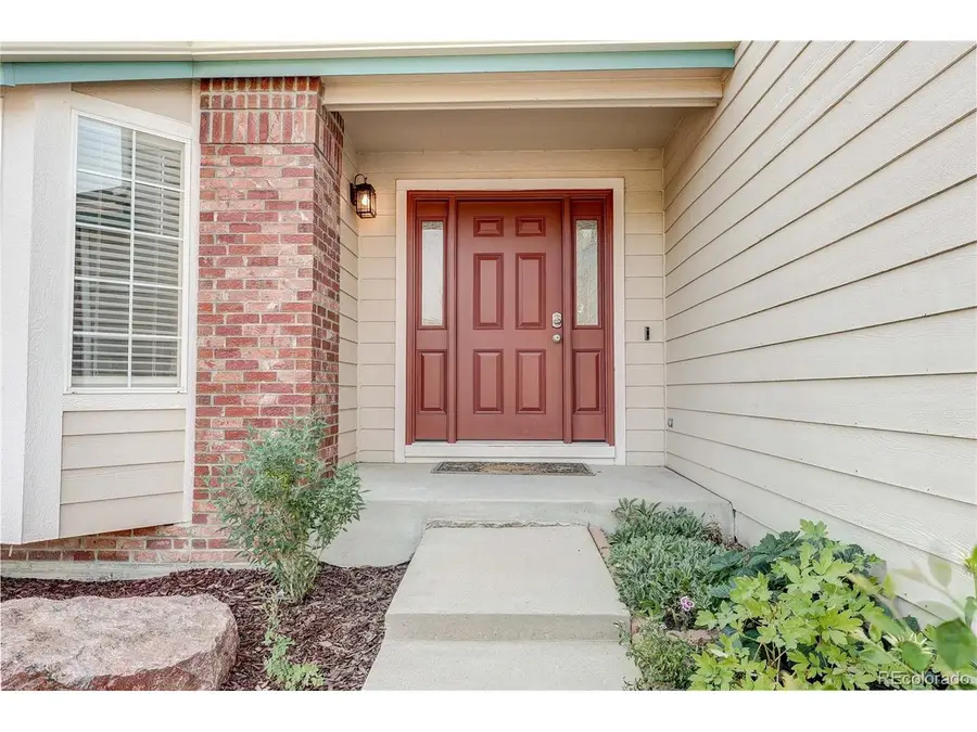 226 Chelsea St, Castle Rock, CO 80104 - #3