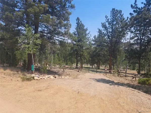 2338 Fitzsimmons Rd, Hartsel, CO 80449