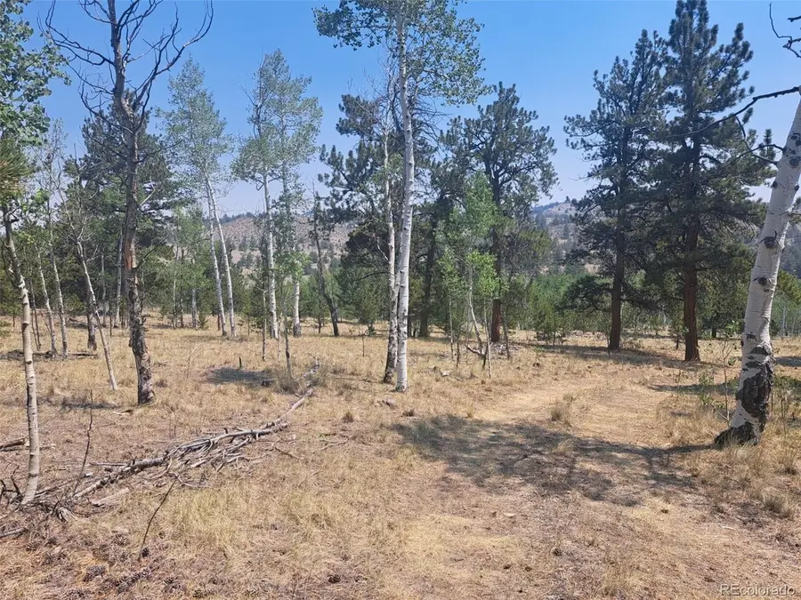 2338 Fitzsimmons Rd, Hartsel, CO 80449 - #2