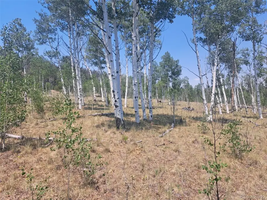 2338 Fitzsimmons Rd, Hartsel, CO 80449 - #3