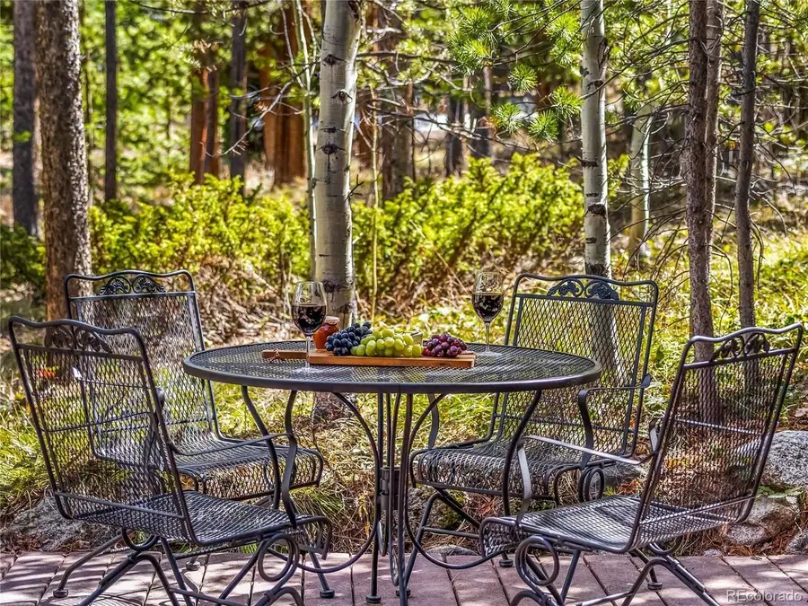 1793 Falcon Dr, Silverthorne, CO 80498 - #2