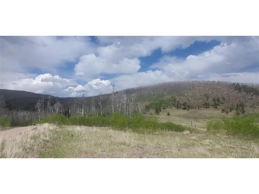 1648 Cary Ln, Fort Garland, CO 81133 - #2