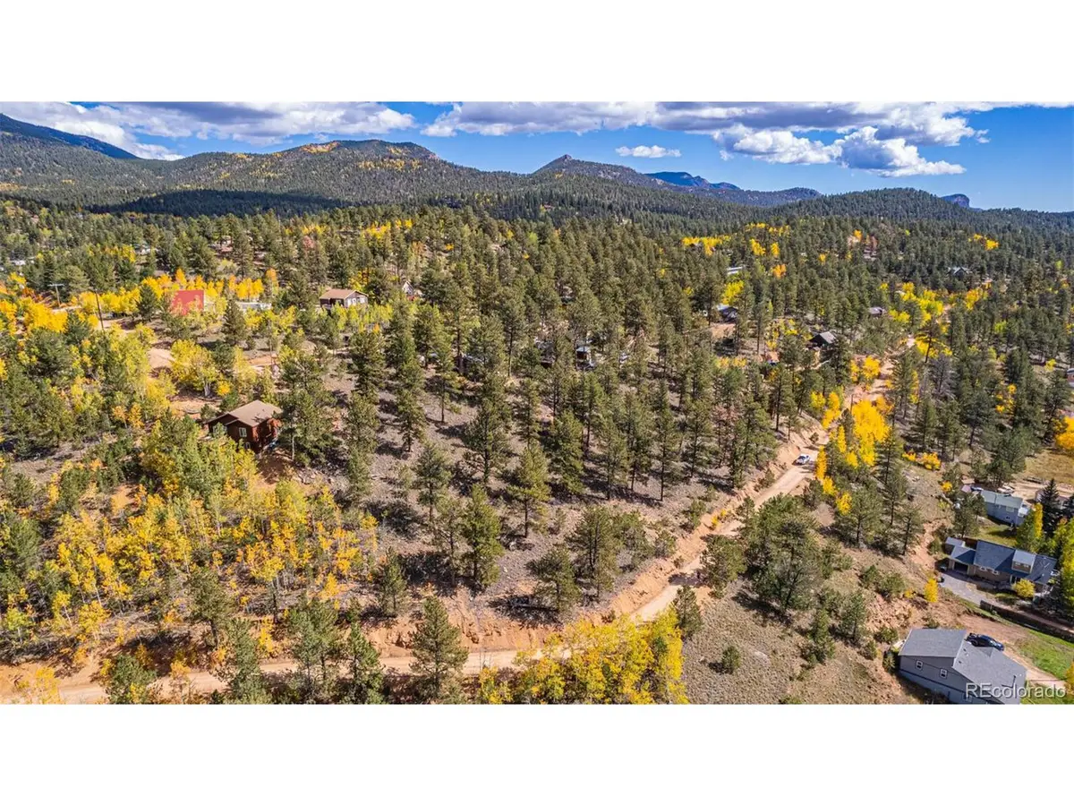 103 Gross Rd, Bailey, CO 80421 - #1