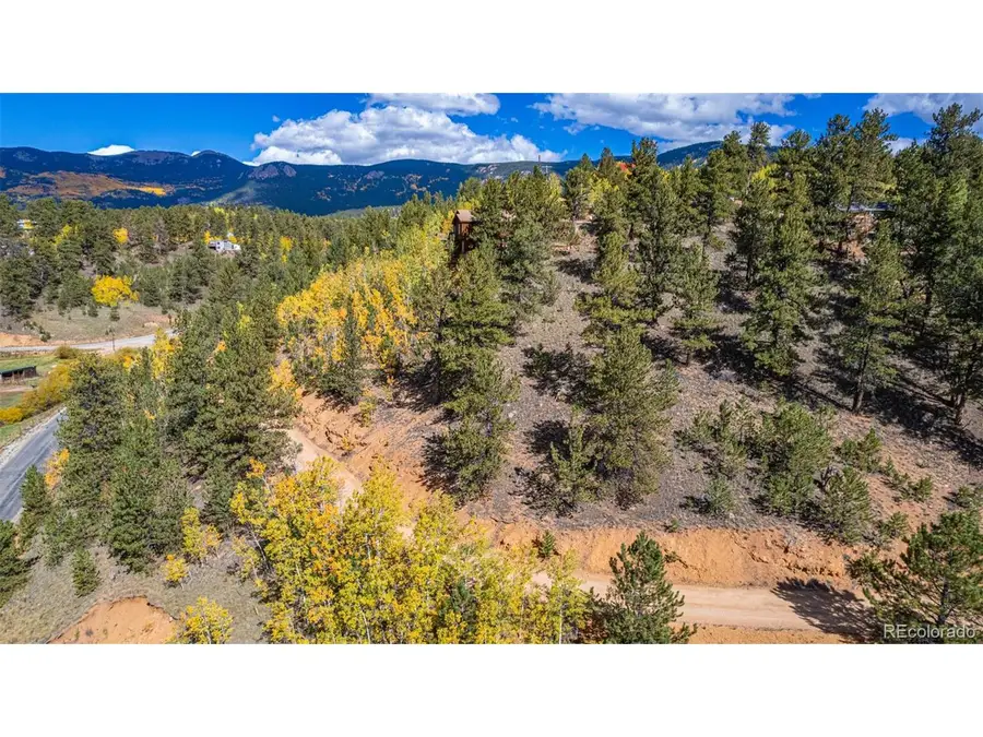 103 Gross Rd, Bailey, CO 80421 - #2