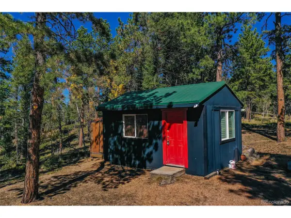 3447 Pathfinder Rd, Florissant, CO 80816