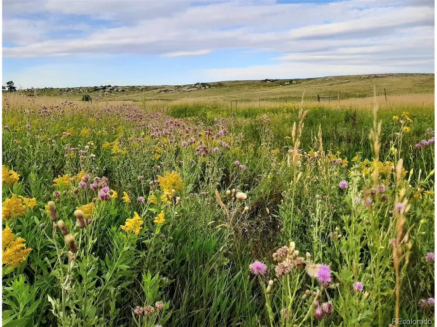 21545 Elk Meadows Cir, Elbert, CO 80106 - #2