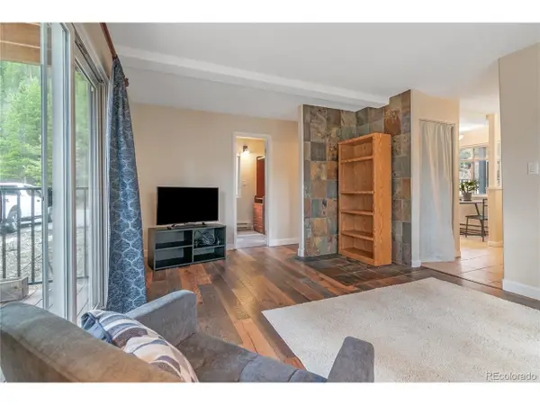 Address Withheld By Seller, Breckenridge, CO 80424