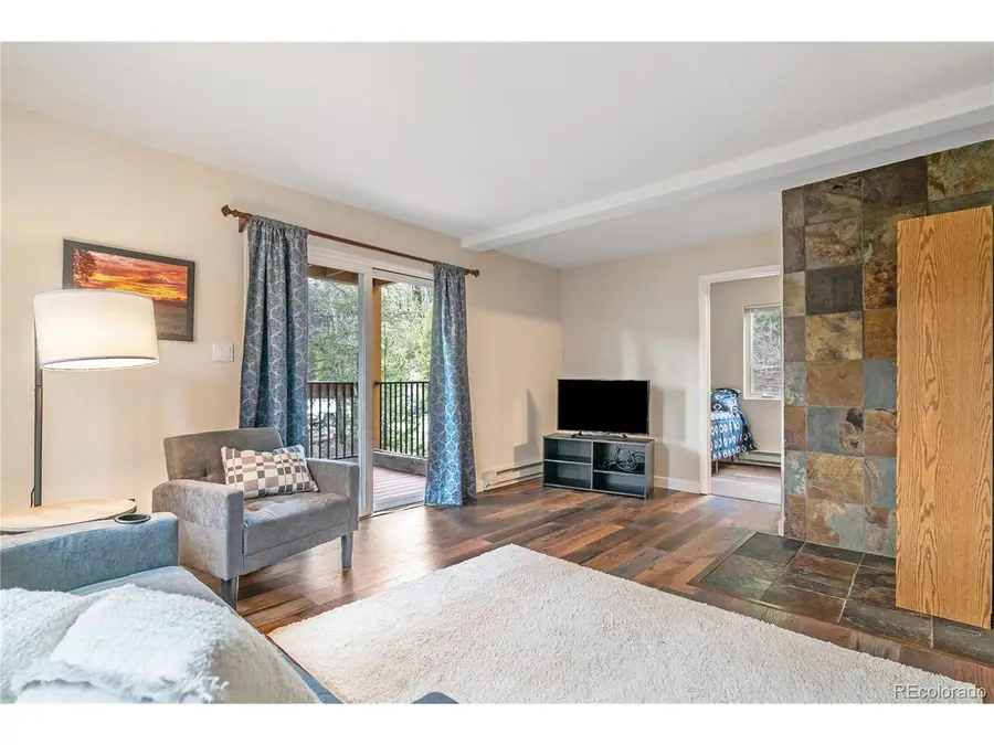 Address Withheld By Seller, Breckenridge, CO 80424 - #2