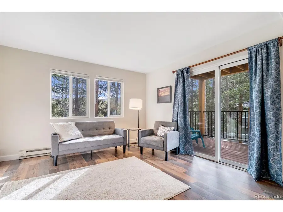 Address Withheld By Seller, Breckenridge, CO 80424 - #3