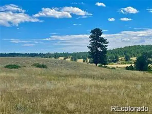 11726 Cr 102, Elbert, CO 80116
