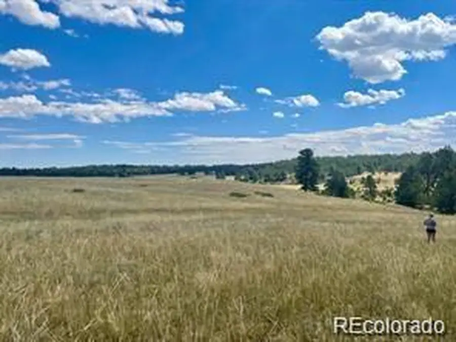 11726 Cr 102, Elbert, CO 80116 - #3