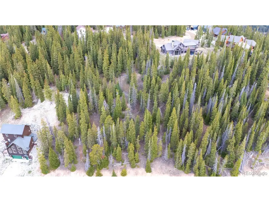 301 Kimmes Ln, Breckenridge, CO 80424 - #3