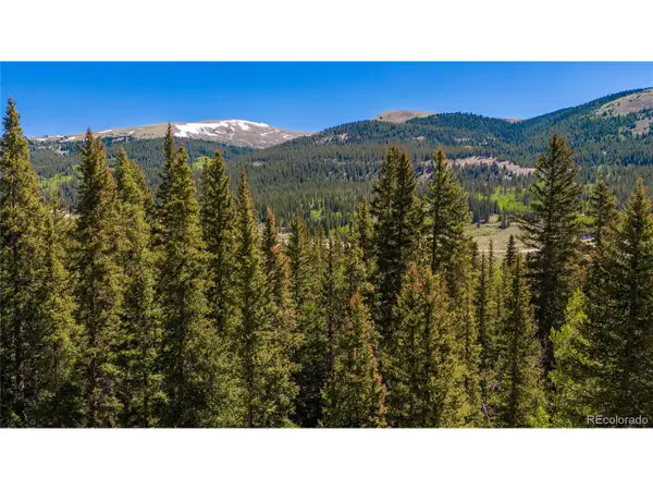 797 Peterson Dr, Fairplay, CO 80440