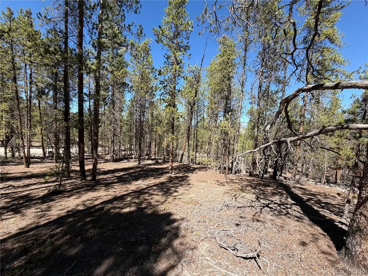 350 Mount Massive Dr, Twin Lakes, CO 81251 - #1