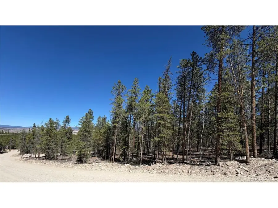 350 Mount Massive Dr, Twin Lakes, CO 81251 - #3