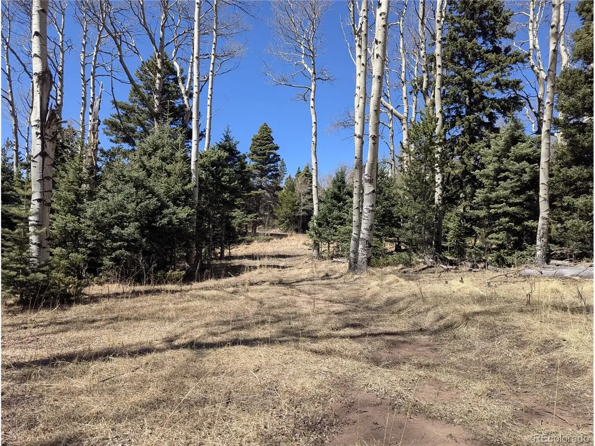 2664 Grojean Dr, Fort Garland, CO 81133 - #1