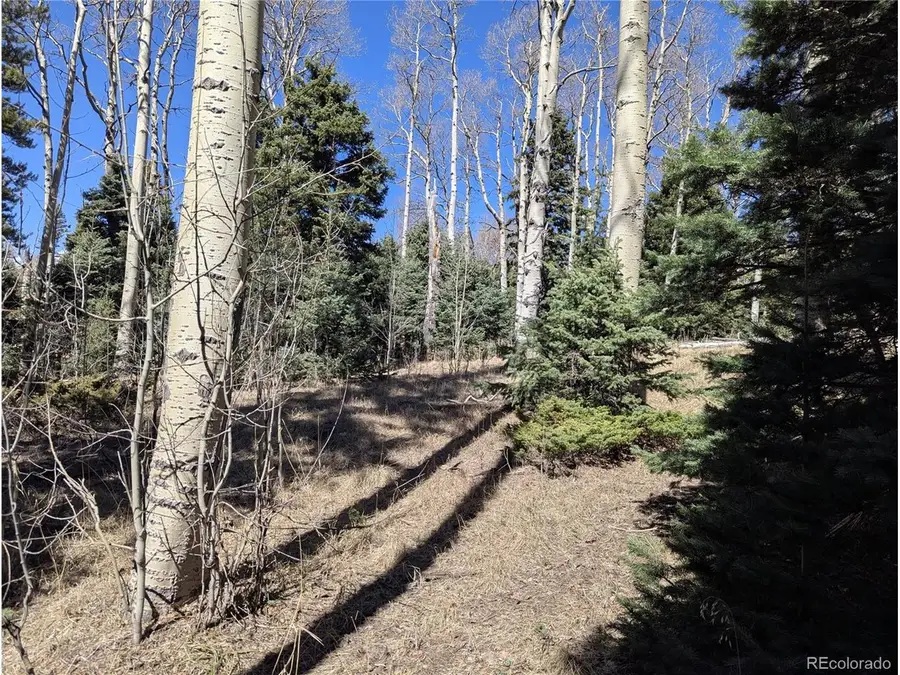 2664 Grojean Dr, Fort Garland, CO 81133 - #2