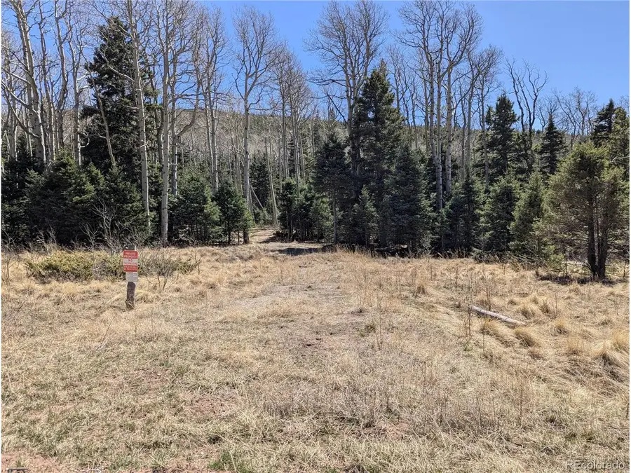2664 Grojean Dr, Fort Garland, CO 81133 - #3