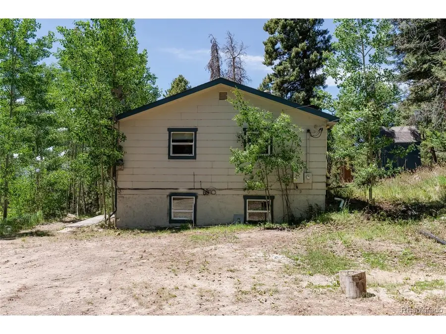 11682 Baca Rd, Conifer, CO 80433 - #2