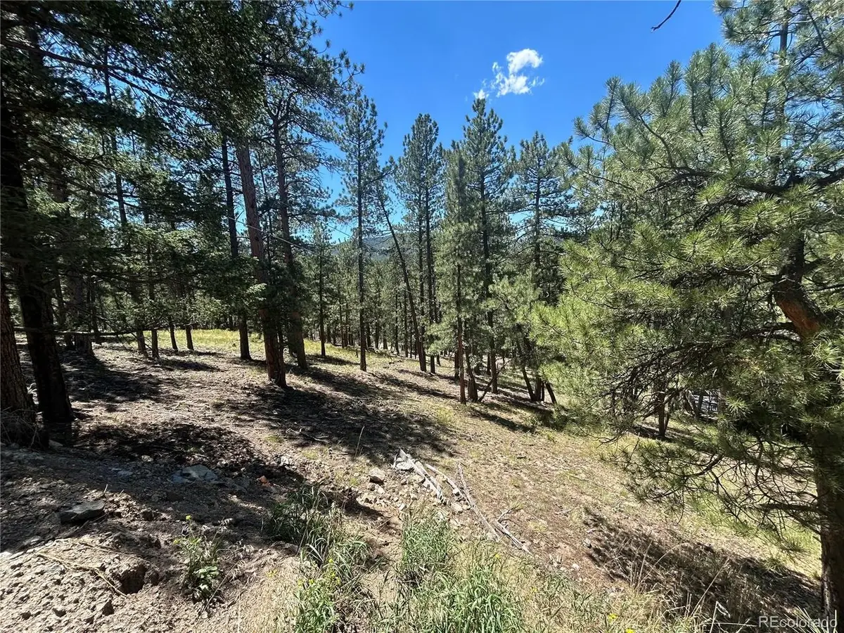 0 Pine Pne, Evergreen, CO 80439 - #1