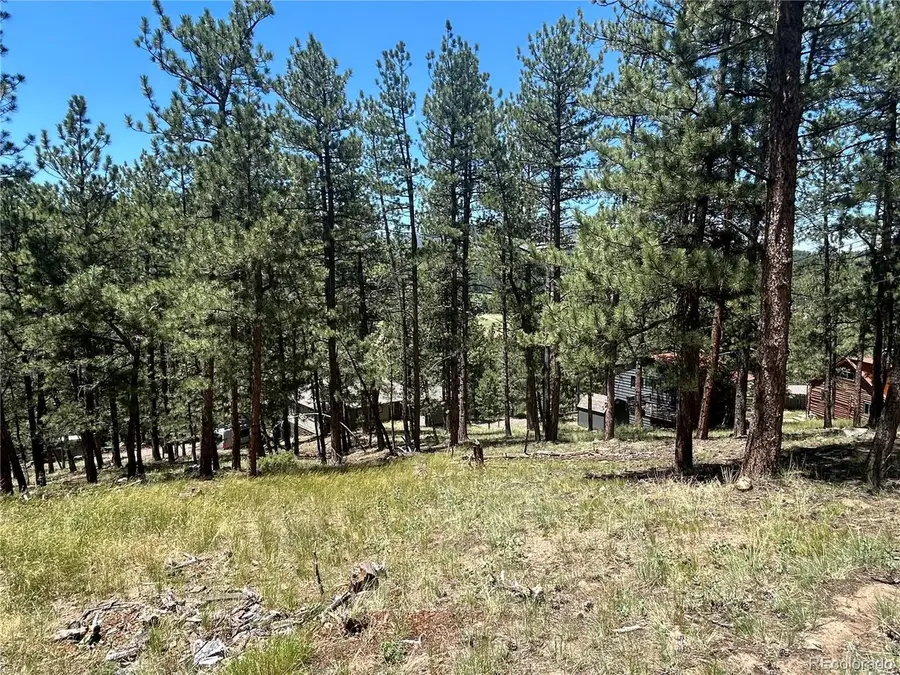 0 Pine Pne, Evergreen, CO 80439 - #2