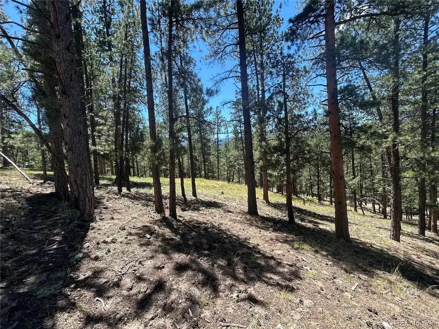 0 Pine Pne, Evergreen, CO 80439 - #3