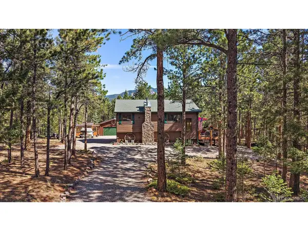 13183 S Piute Dr, Pine, CO 80470