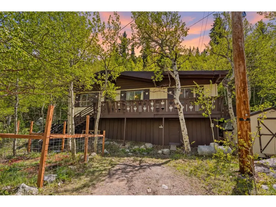 702 Bryan Ave, Nederland, CO 80466 - #3