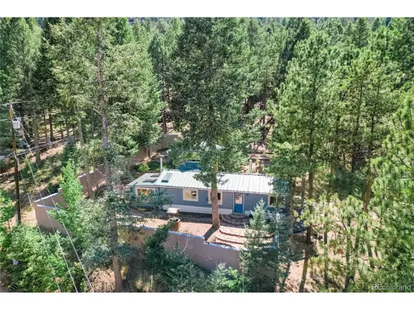 196 Summer Haven Dr, Woodland Park, CO 80863