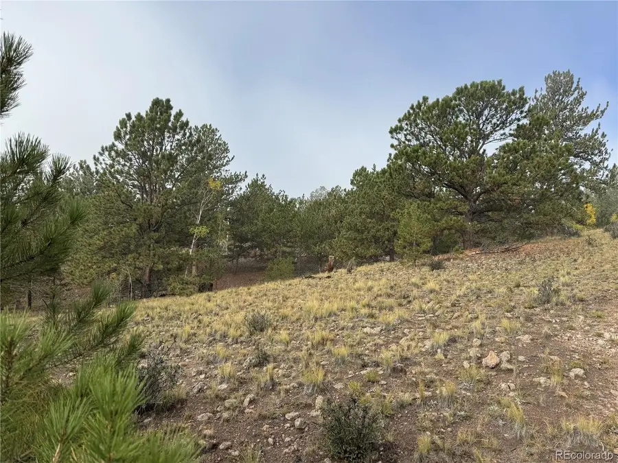 155 Whip Way, Hartsel, CO 80449 - #2