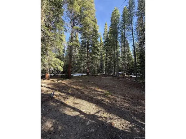 611 Silver Creek Rd, Idaho Springs, CO 80452