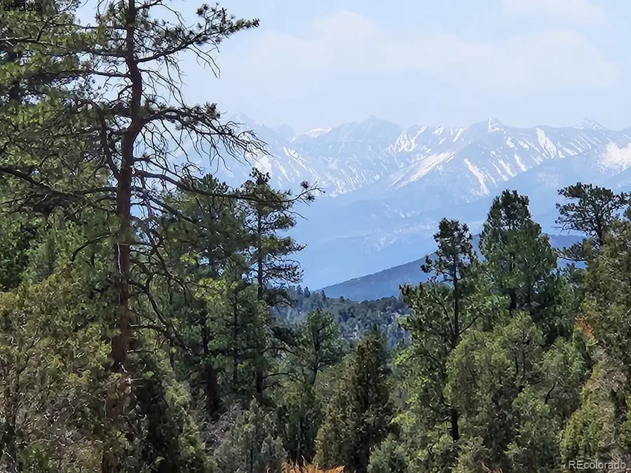 1314 Arnold Dr, Cotopaxi, CO 81223 - #2